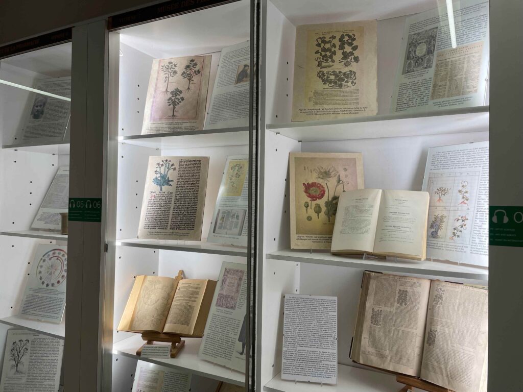 Museum voor Geneeskrachtige Planten en Farmacie